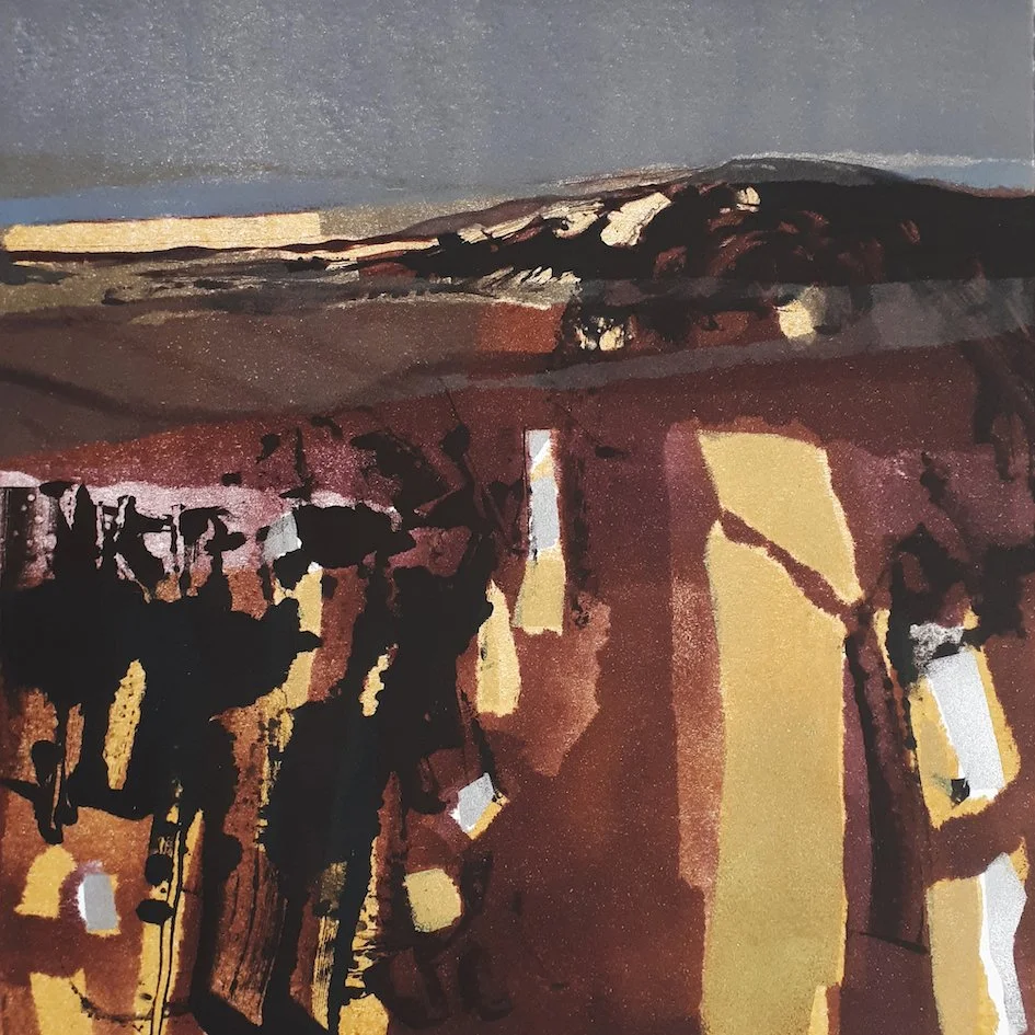 Shop — Anita Reynolds